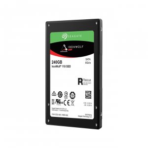 Seagate ZA240NM10011 Ssd  240g Ironwolf 110 Retail