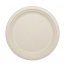 World PLSCU10 Plate,fiber,10,800ct,nt