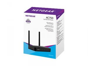 Netgear R6020-100NAS 