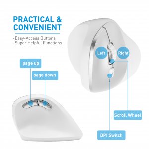 Macally RFERGOPALM Ergonomic Wrls 2.4ghz Rf Mouse