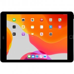 Belkin OVA008ZZ Removable Privacy Screen For Ipad 7th Generation