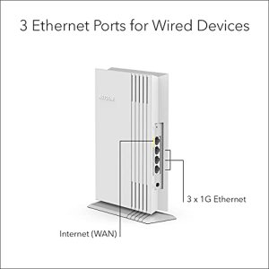 Netgear WAX202-100NAS 