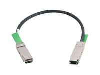 C2g 06151 1m Qsfp+ Inf 28awg Pas Cpr Qdr