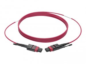 Tripp N845-02M-12-MG Mtpmpo 40100gbase-sr4 Multimode (ff) Patch Cable 