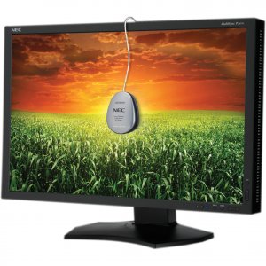 Nec P241W-BK New  24in Lcd Monitor P241w-bk