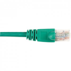 CAT6PC-010-GN-5PAK