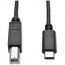 Tripp U040-006 6ft Usb 2.0 Hi-speed Cable B Male To Usb Type-c Usb-c M