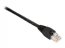 Black EVNSL87-0050 Gigabase 350 Cat5e Patch Cable, Snagless