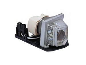 Battery ECK0100001-OE Replacement Projector Lamp With Oem Bulb For Ace