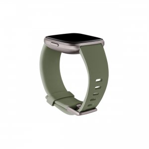 Fitbit FB171ABOVL Versa 2 Classic Band Olive Lg