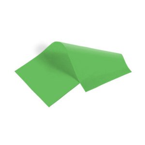 Flower NE-251 Tissue Paper-groovy Green