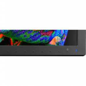 Nec PA311D-BK 31 Color Critical Desktop Display With Spectraview Engin