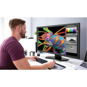 Nec PA311D-BK 31 Color Critical Desktop Display With Spectraview Engin