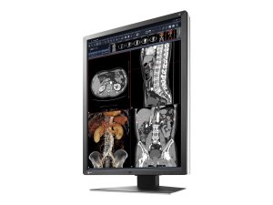 Eizo RX250-BK 21.3in Ws Led 1200x1600  1400:1