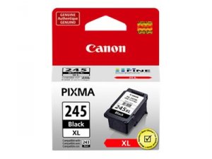 Original Canon CNM8278B001 Pixma Mg2420