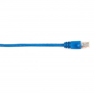 CAT6PC-005-BL-5PAK