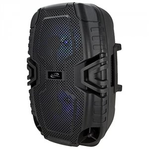 Dpi ISB250B Wireless Tailgate Party Speaker