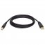 Tripp F62066 15ft Usb 2.0 Hi-speed A-b Device Cable Shielded Male - Ma