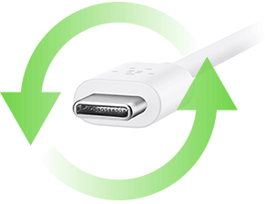 Belkin F7U022dq06-SLV Usb C And A Charger And Cable