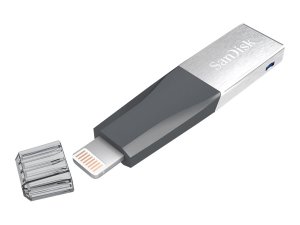 Western SDIX40N-016G-GN6NN La 16gb Ixpand Mini Flash Drive