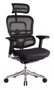 Homeroots.co 372391 26.4 X 26 X 39.4 Black Mesh Elite Mid Back Chair