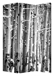 Homeroots.co 274652 1 X 48 X 72 Multi Color Wood Canvas Birch  Screen