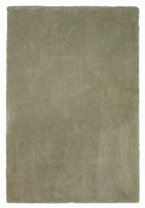 Homeroots.co 352659 5' X 7'  Polyester Sage Area Rug