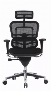 Homeroots.co 372363 26.5 X 29 X 46 Black Fabric Mesh Chair