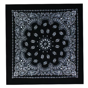 Fox 83-01 22 X 22 Bandanna 12 Pack - Black Paisley