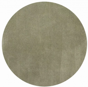 Homeroots.co 352635 6' Round  Polyester Sage Area Rug