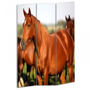 Homeroots.co 274617 1 X 48 X 72 Multi Color Wood Canvas Horse  Screen