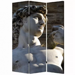 Homeroots.co 274866 1 X 48 X 72 Multi Color Wood Canvas Rome  Screen