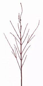 Melrose 76237DS Red Twig Dogwood Branch (set Of 12) 55h Plastic