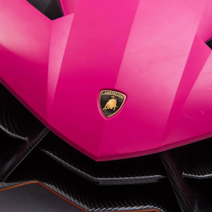 Dti XMX615_pink 24v 4x4 Lamborghini Veneno 2 Seater Ride On With Paren