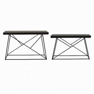 Plutus PBTH92103 Metal Plant Stand Set Of 2 In Black Metal