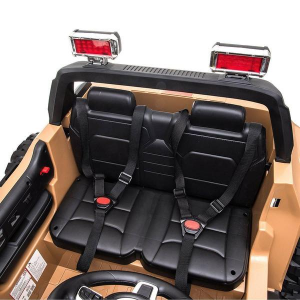 Dti QLS-618B_desert 12v Off Road 2 Seater Ride On Truck With Parental 