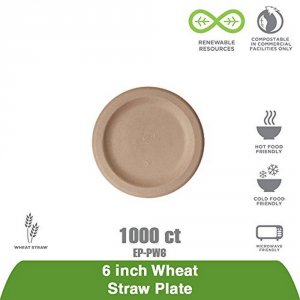 Eco-products,inc. EP-PW6 Plate,6,wheatstraw