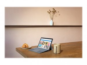 Microsoft MHM-00001 Surface Go2 8gb 128gb Platinum