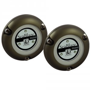 Lumitec 101245 Seablaze Mini Underwater Light - Pair - Brushed Finish 