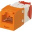 Panduit CJ5E88TGOR-24 24pk Cat5e Orange Rj45 8pos