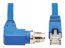 Tripp NM12-6A4-02M-BL Cables And Connecti