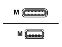 Addon USBEXTAC2M - Usb Cable - Usb (m) To Usb-c (m) - Usb 2.0 - 6.6 Ft