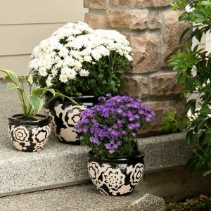 Summerfield 10018723 Floral Nights Ceramic Planter Set