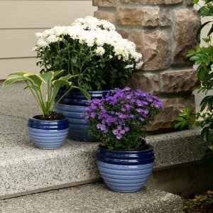 Summerfield 10018822 Duo Blue Planters Trio