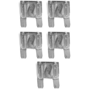 Xscorpion ZMXF80 80 Amp Fuses 5per Bag