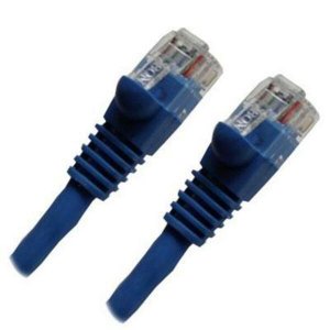 CAT5BL-25