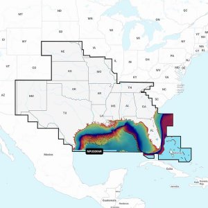 Navionics 010-C1369-40 Platinum+ Npus006r U.s. South