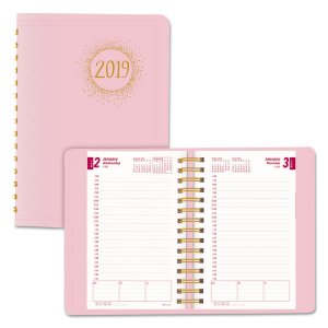 Rediform CB634G.05 Planner,dlymnthly,pk