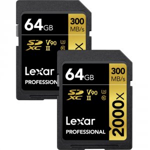 Lexar LSD2000064G-B2NNU Professional Sdxc Memory Card, 2000x, 64gb Cla