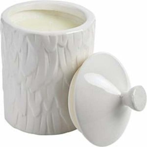 Thompson 311279 By  Wildflower Feather Textured Scented Candle 18.4 Oz